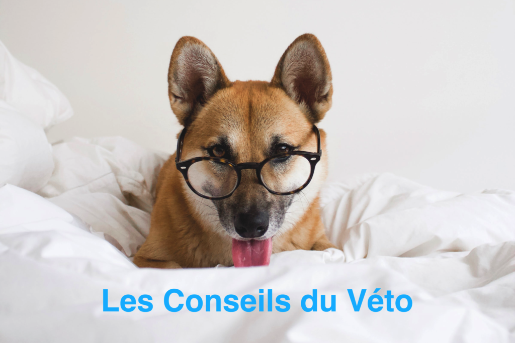 Les conseils du vétérinaire